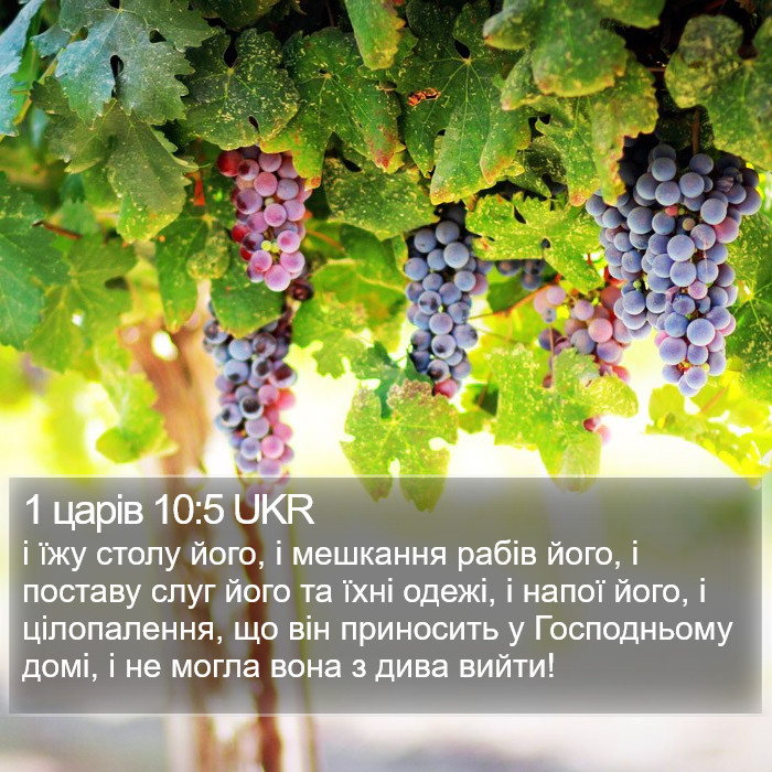 1 царів 10:5 UKR Bible Study