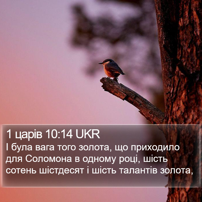 1 царів 10:14 UKR Bible Study