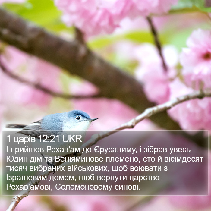 1 царів 12:21 UKR Bible Study