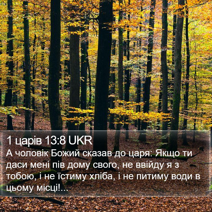 1 царів 13:8 UKR Bible Study