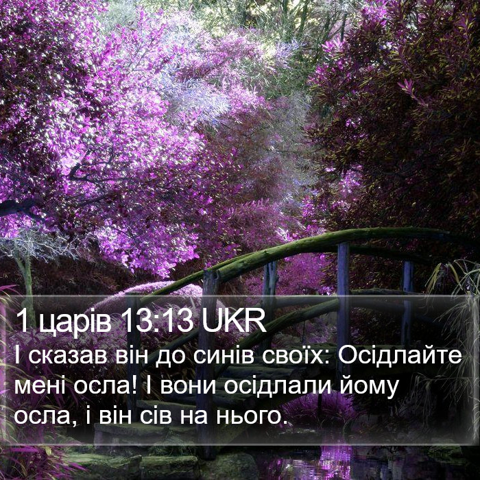 1 царів 13:13 UKR Bible Study