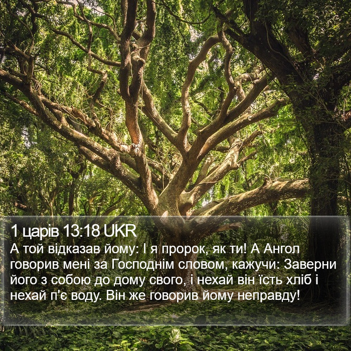 1 царів 13:18 UKR Bible Study