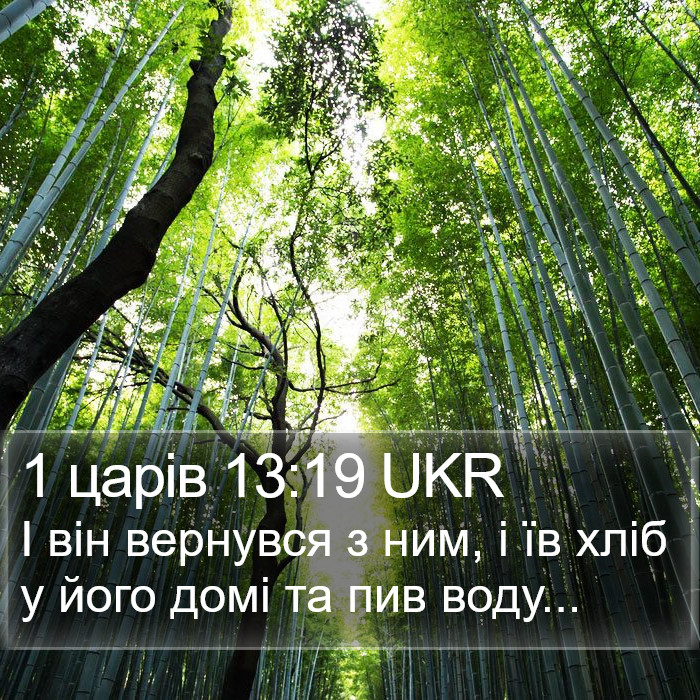 1 царів 13:19 UKR Bible Study