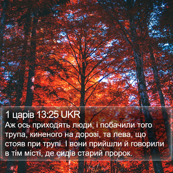 1 царів 13:25 UKR Bible Study