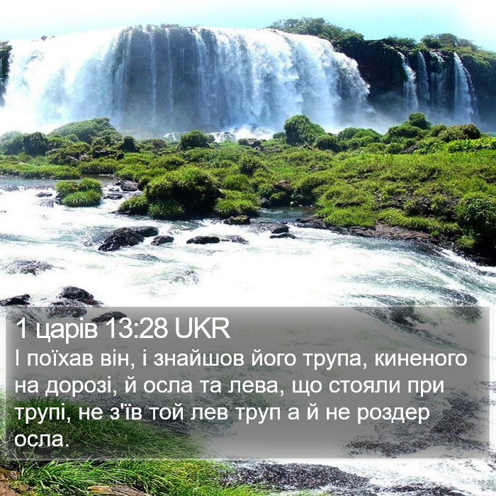 1 царів 13:28 UKR Bible Study