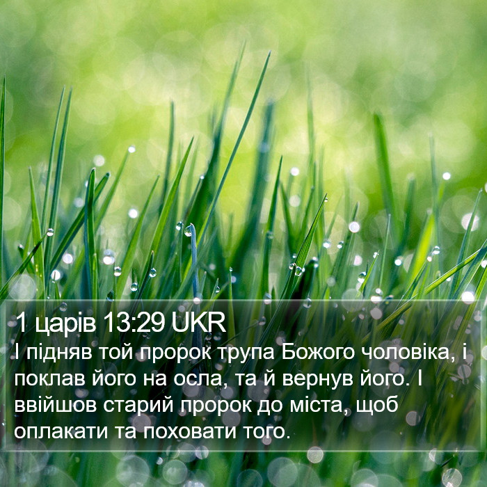 1 царів 13:29 UKR Bible Study