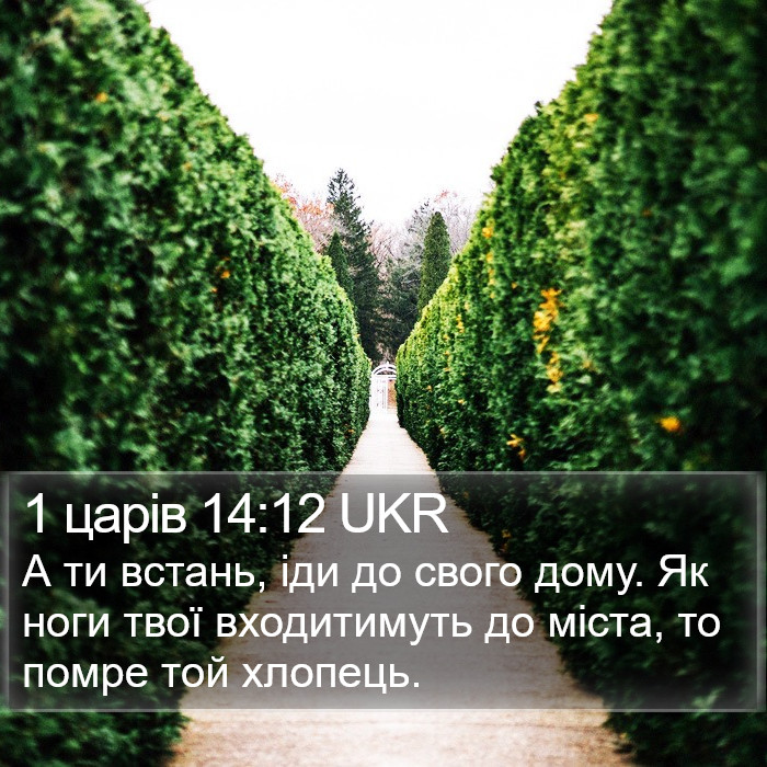 1 царів 14:12 UKR Bible Study