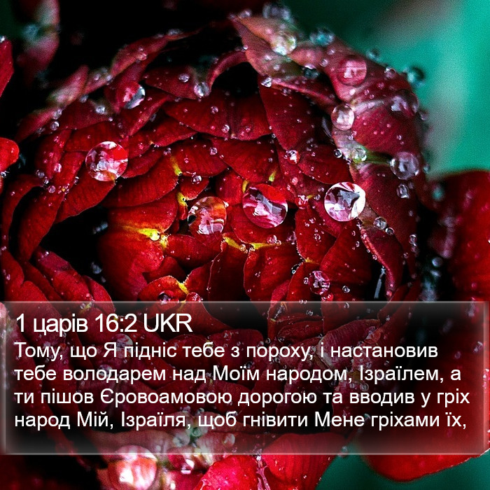 1 царів 16:2 UKR Bible Study