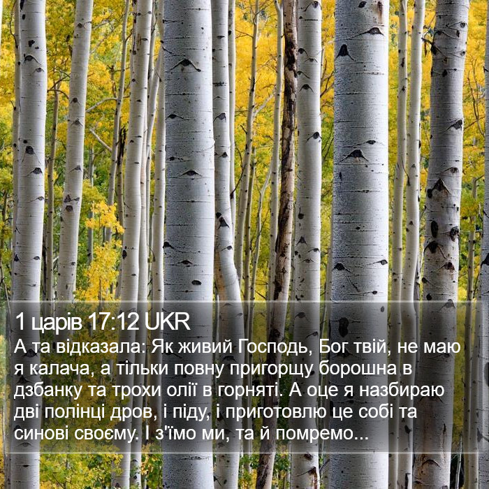 1 царів 17:12 UKR Bible Study