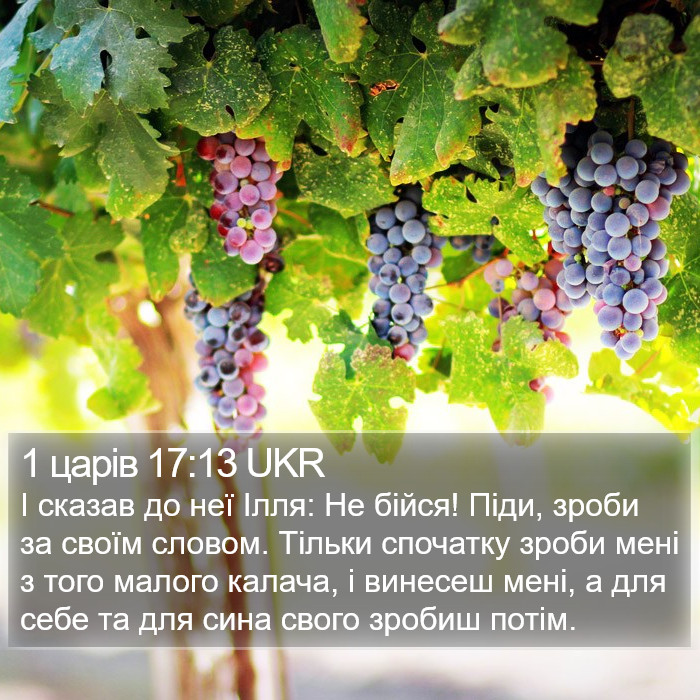 1 царів 17:13 UKR Bible Study