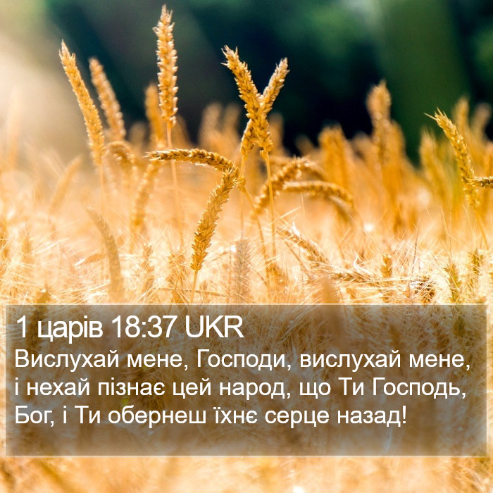 1 царів 18:37 UKR Bible Study