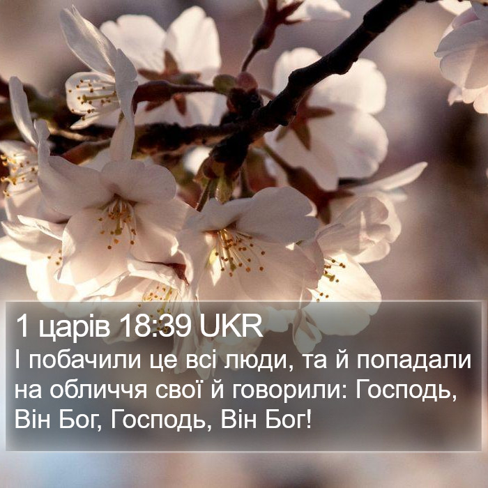 1 царів 18:39 UKR Bible Study