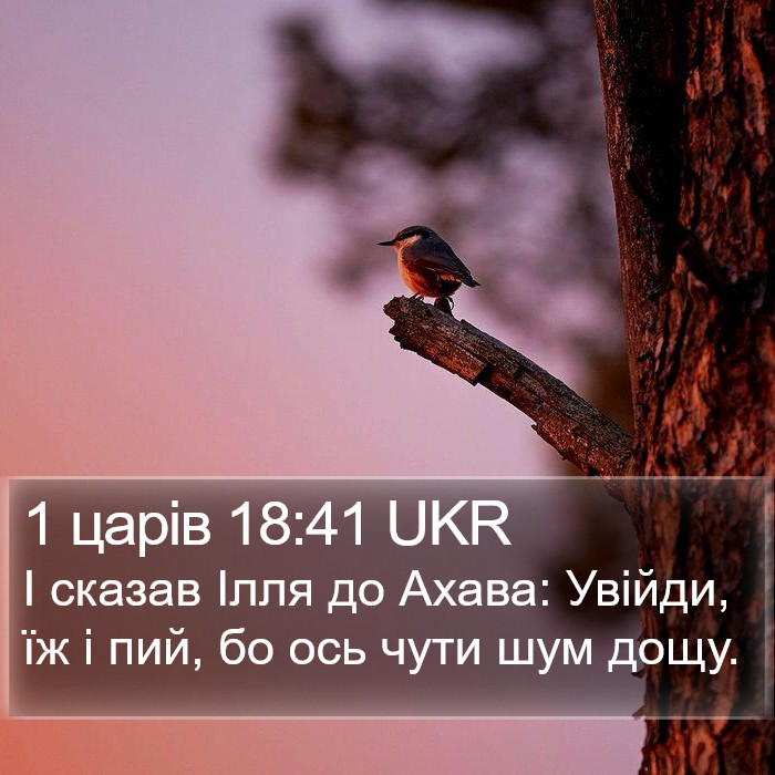 1 царів 18:41 UKR Bible Study