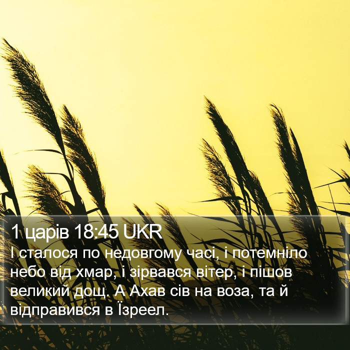 1 царів 18:45 UKR Bible Study