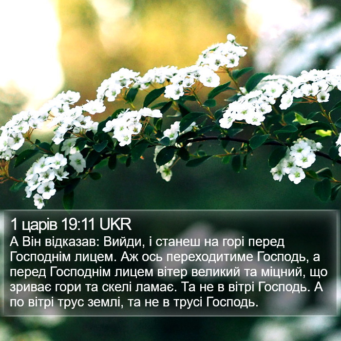 1 царів 19:11 UKR Bible Study