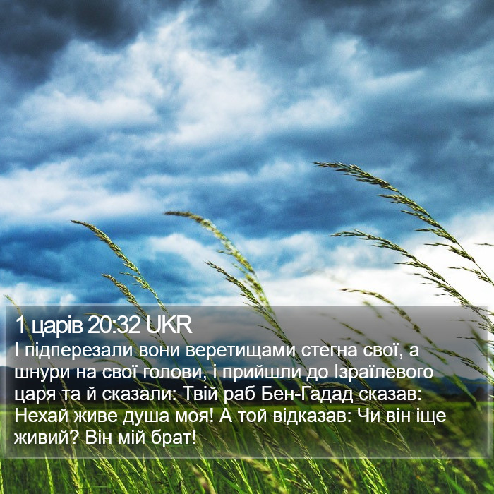 1 царів 20:32 UKR Bible Study