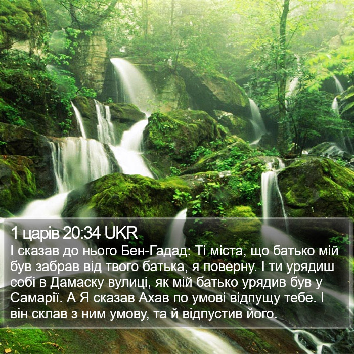 1 царів 20:34 UKR Bible Study