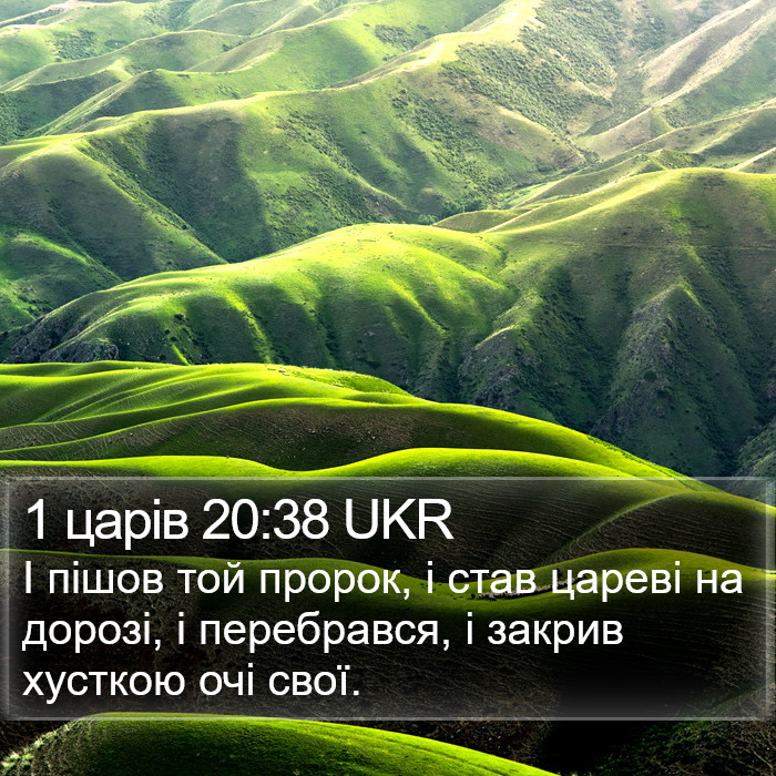 1 царів 20:38 UKR Bible Study