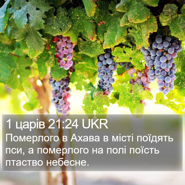 1 царів 21:24 UKR Bible Study