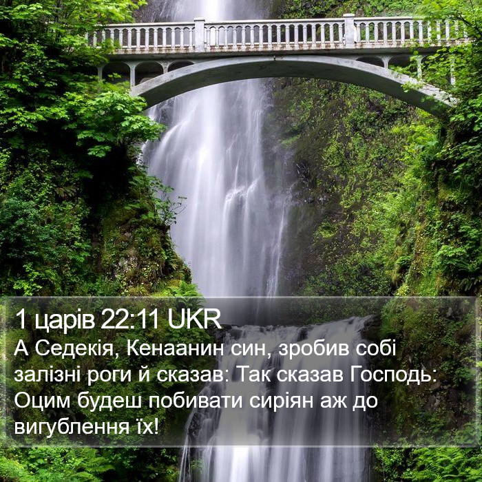 1 царів 22:11 UKR Bible Study