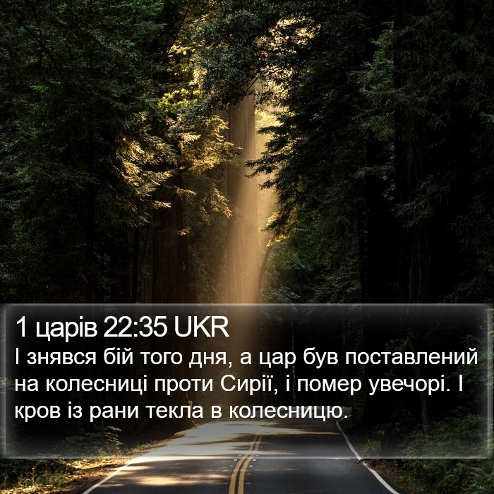 1 царів 22:35 UKR Bible Study