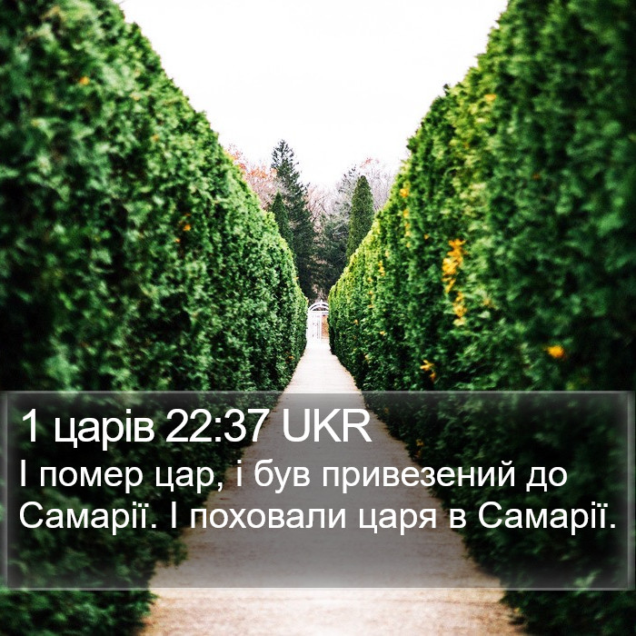 1 царів 22:37 UKR Bible Study