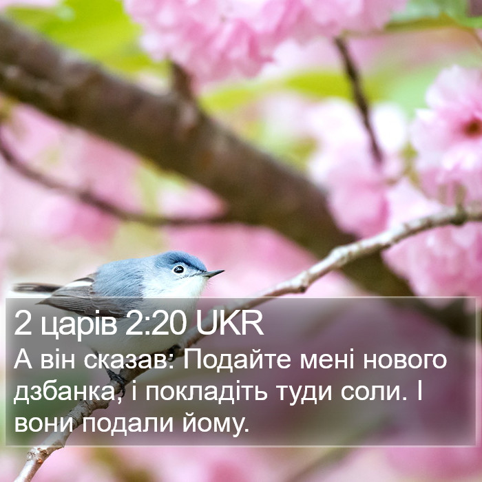 2 царів 2:20 UKR Bible Study