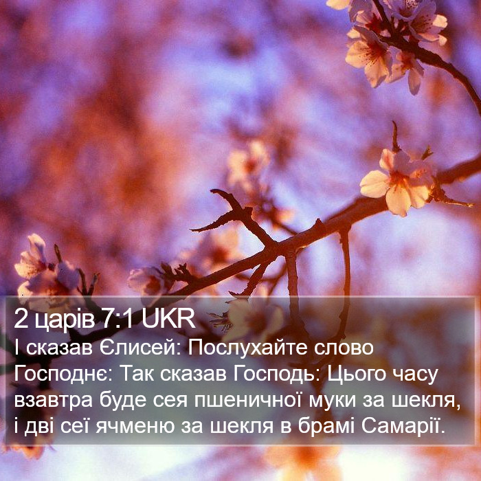 2 царів 7:1 UKR Bible Study