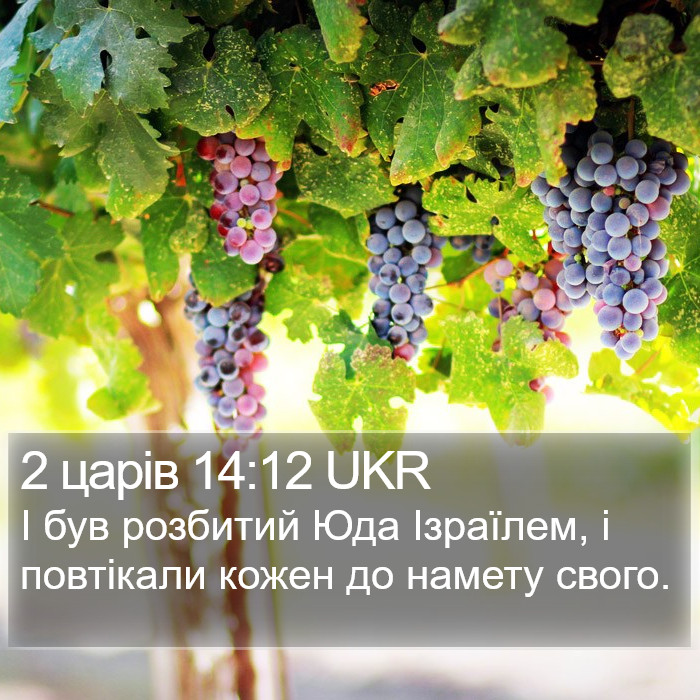 2 царів 14:12 UKR Bible Study