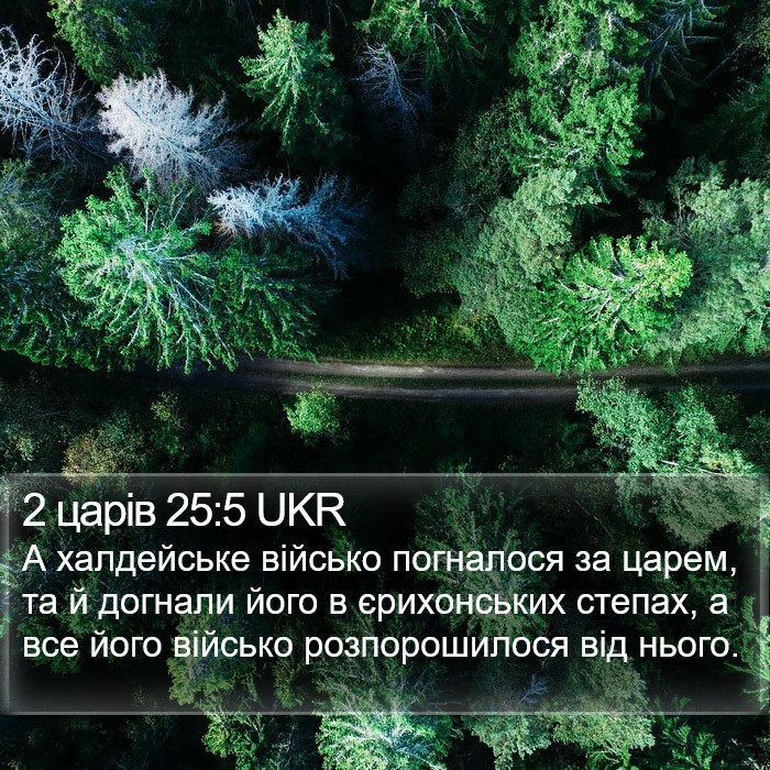 2 царів 25:5 UKR Bible Study