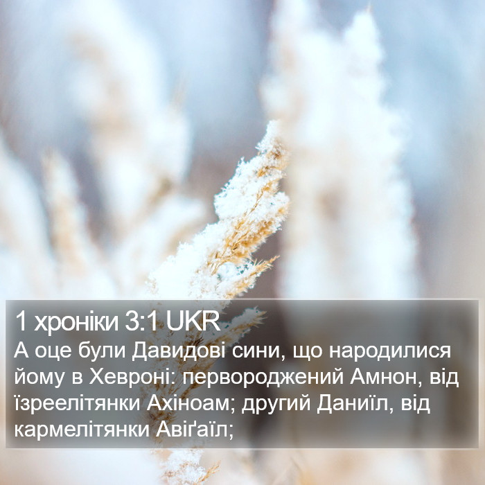 1 хроніки 3:1 UKR Bible Study