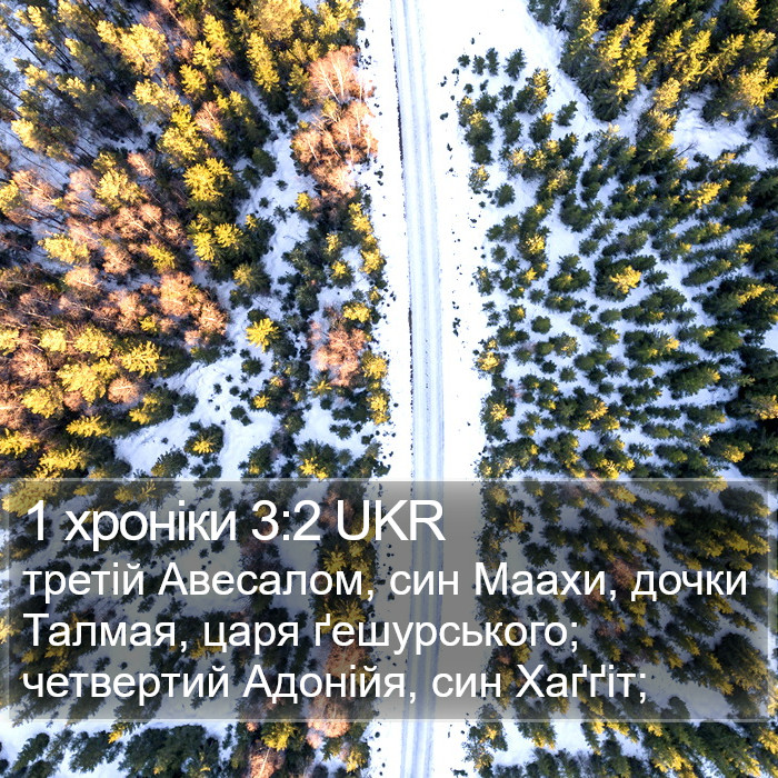 1 хроніки 3:2 UKR Bible Study