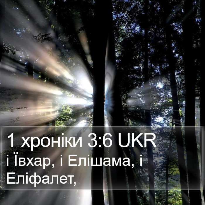 1 хроніки 3:6 UKR Bible Study