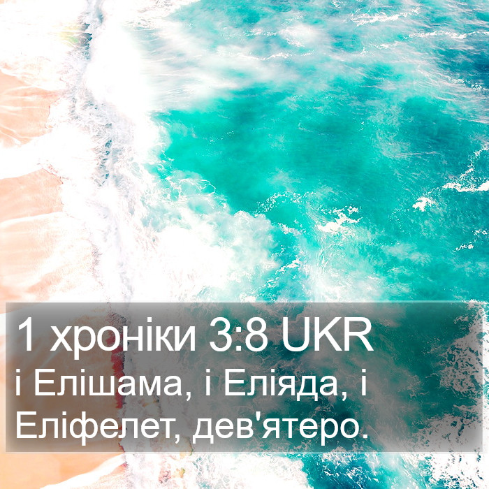 1 хроніки 3:8 UKR Bible Study