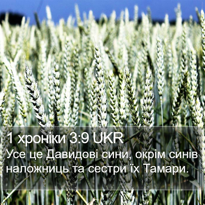 1 хроніки 3:9 UKR Bible Study