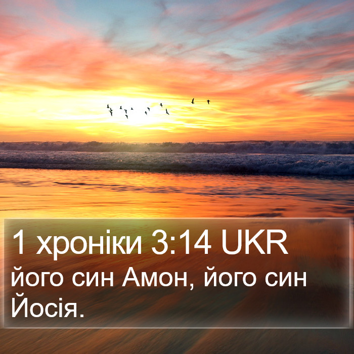 1 хроніки 3:14 UKR Bible Study