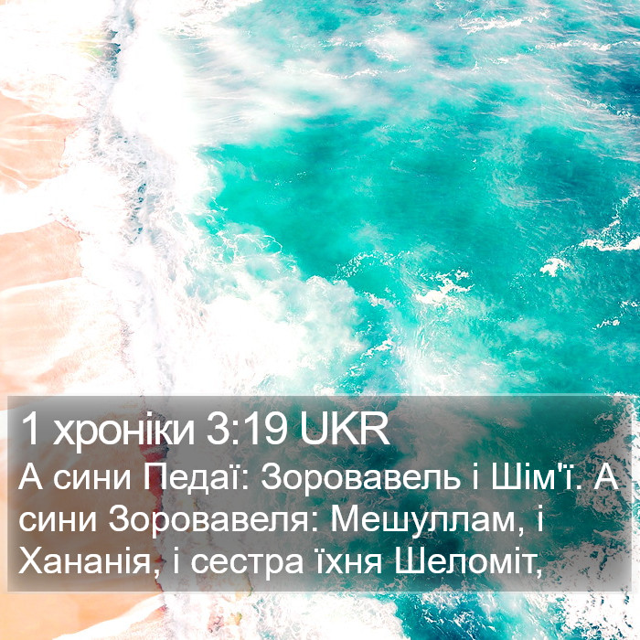 1 хроніки 3:19 UKR Bible Study