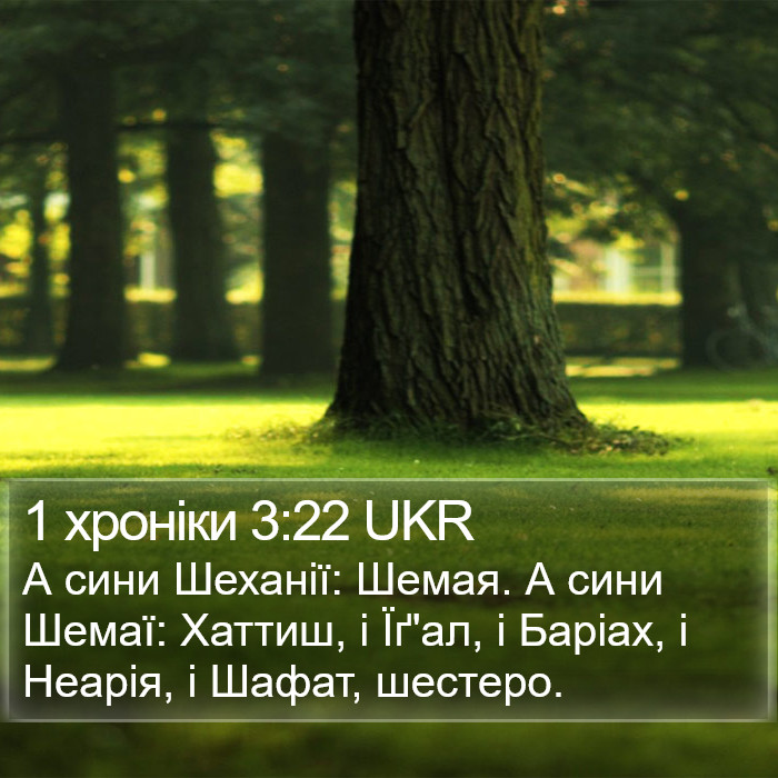 1 хроніки 3:22 UKR Bible Study