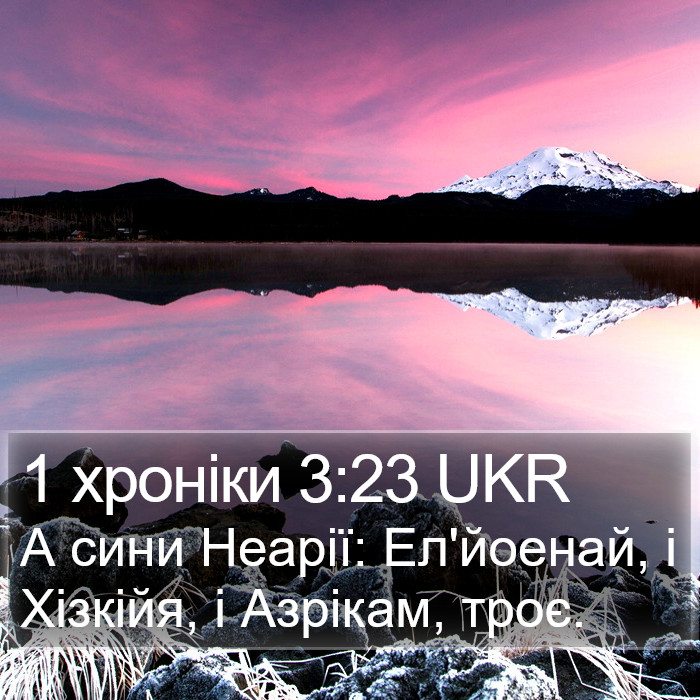 1 хроніки 3:23 UKR Bible Study