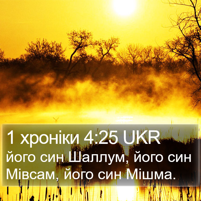 1 хроніки 4:25 UKR Bible Study