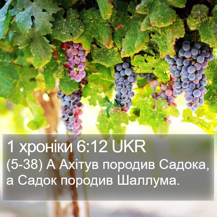 1 хроніки 6:12 UKR Bible Study