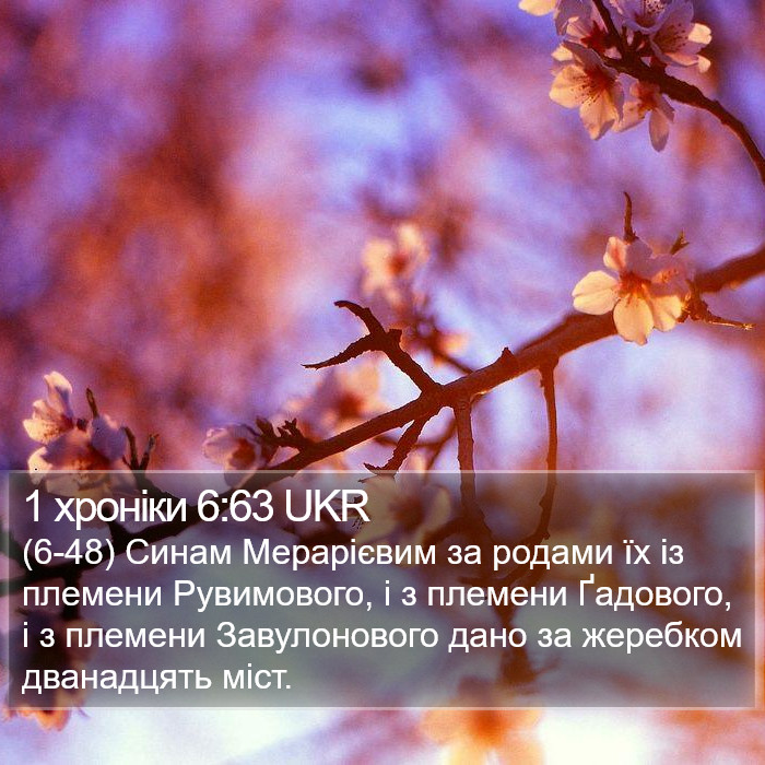 1 хроніки 6:63 UKR Bible Study