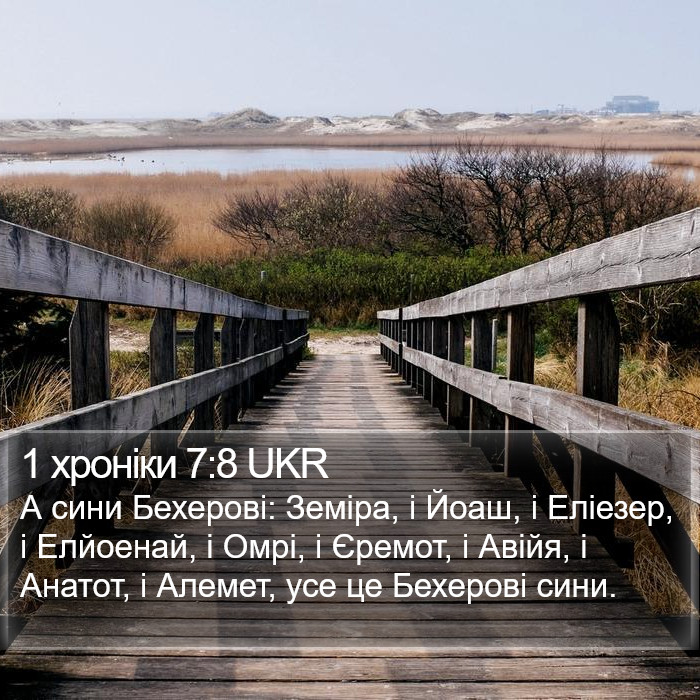 1 хроніки 7:8 UKR Bible Study
