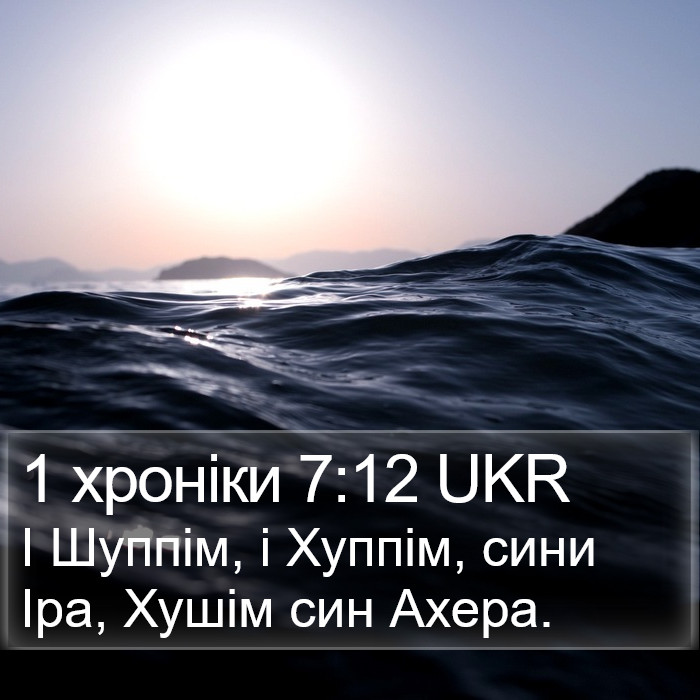 1 хроніки 7:12 UKR Bible Study