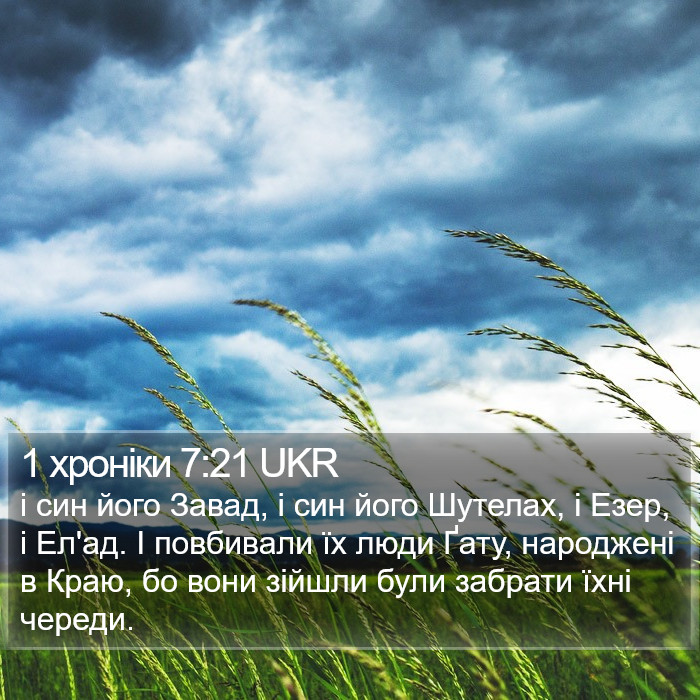 1 хроніки 7:21 UKR Bible Study