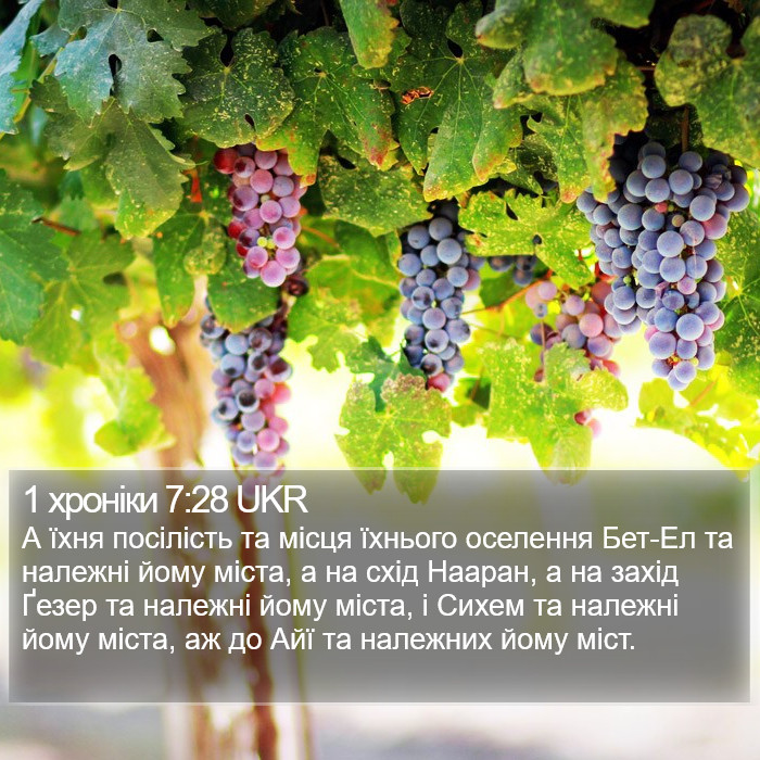 1 хроніки 7:28 UKR Bible Study