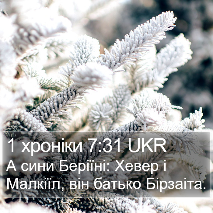 1 хроніки 7:31 UKR Bible Study