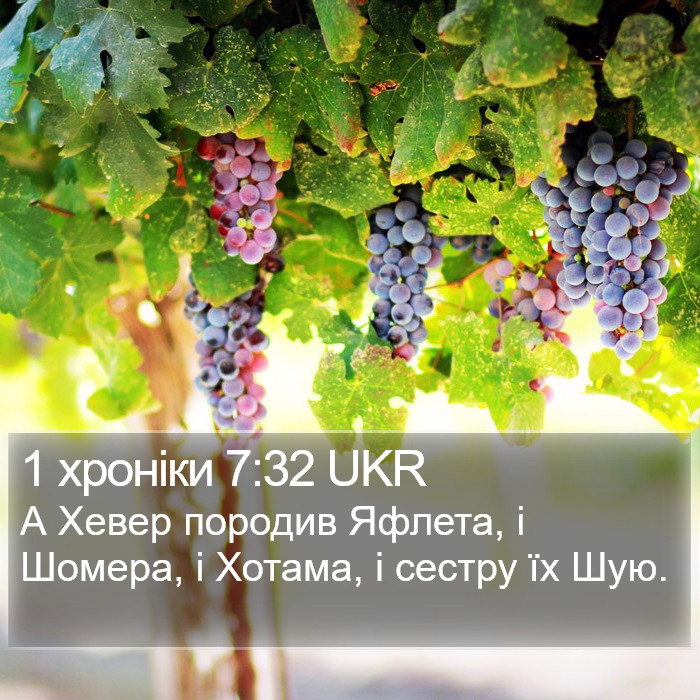 1 хроніки 7:32 UKR Bible Study