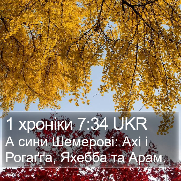 1 хроніки 7:34 UKR Bible Study