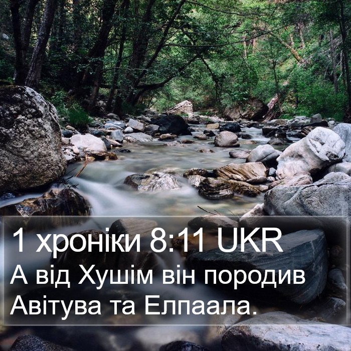 1 хроніки 8:11 UKR Bible Study